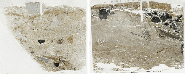 Chumo 03 micromorphs